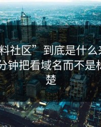 “黑色料社区”到底是什么来路？我花了10分钟把看域名而不是标题讲清楚