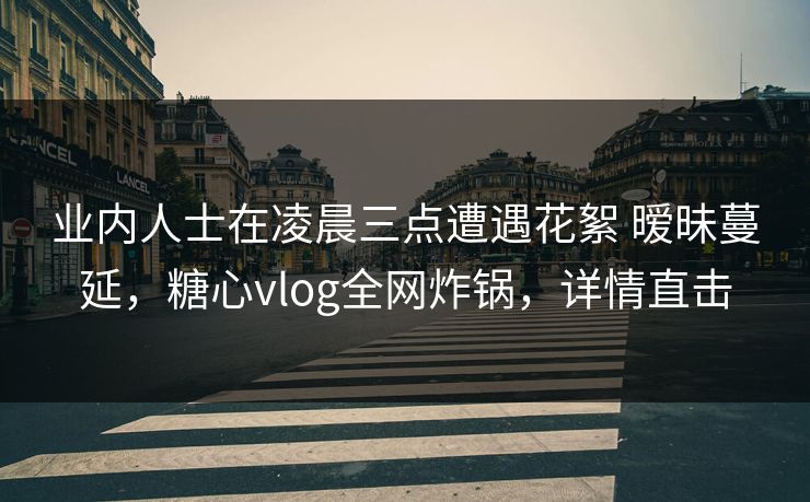 业内人士在凌晨三点遭遇花絮 暧昧蔓延，糖心vlog全网炸锅，详情直击