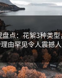 香蕉影视盘点：花絮3种类型，网红上榜理由罕见令人震撼人心